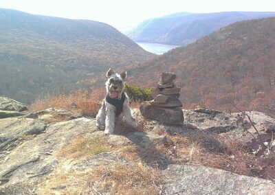 Sparky - Breakneck Ridge Top